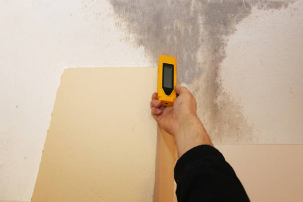 Best Post-Remediation Verification Testing  in Hilltop, SC