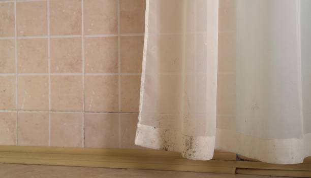Best Mold Remediation for Healthcare Facilities  in Hilltop, SC