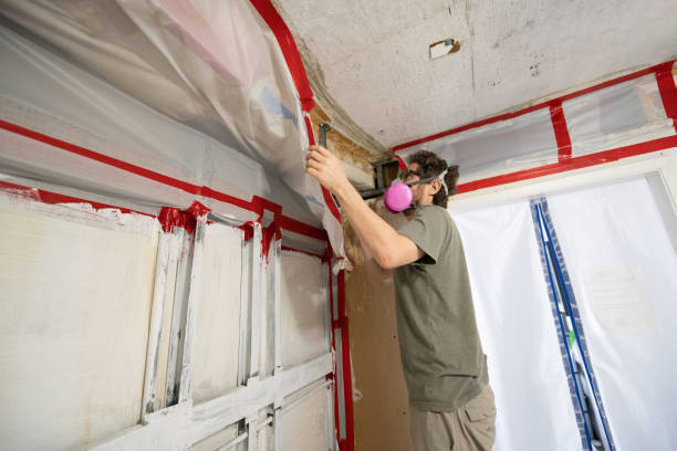 Best Forensic Mold Investigation  in Hilltop, SC