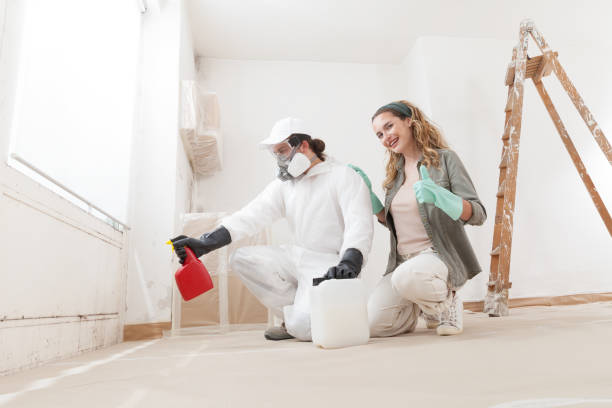 Best Real Estate Mold Inspection  in Hilltop, SC
