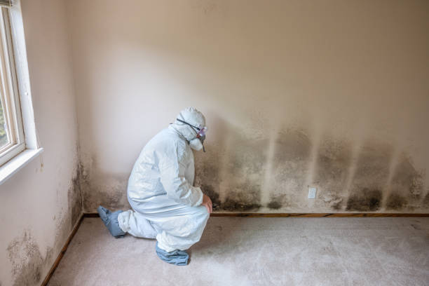 Best Air Quality Testing for Mold Spores  in Hilltop, SC
