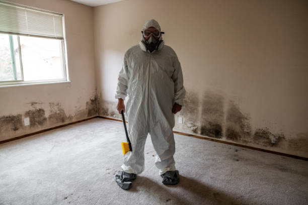 Best Asbestos and Lead Testing During Mold Inspection  in Hilltop, SC